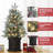 3Ft Christmas Tree 2 Set