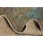 Elegant Traditional Area Rug 7x10