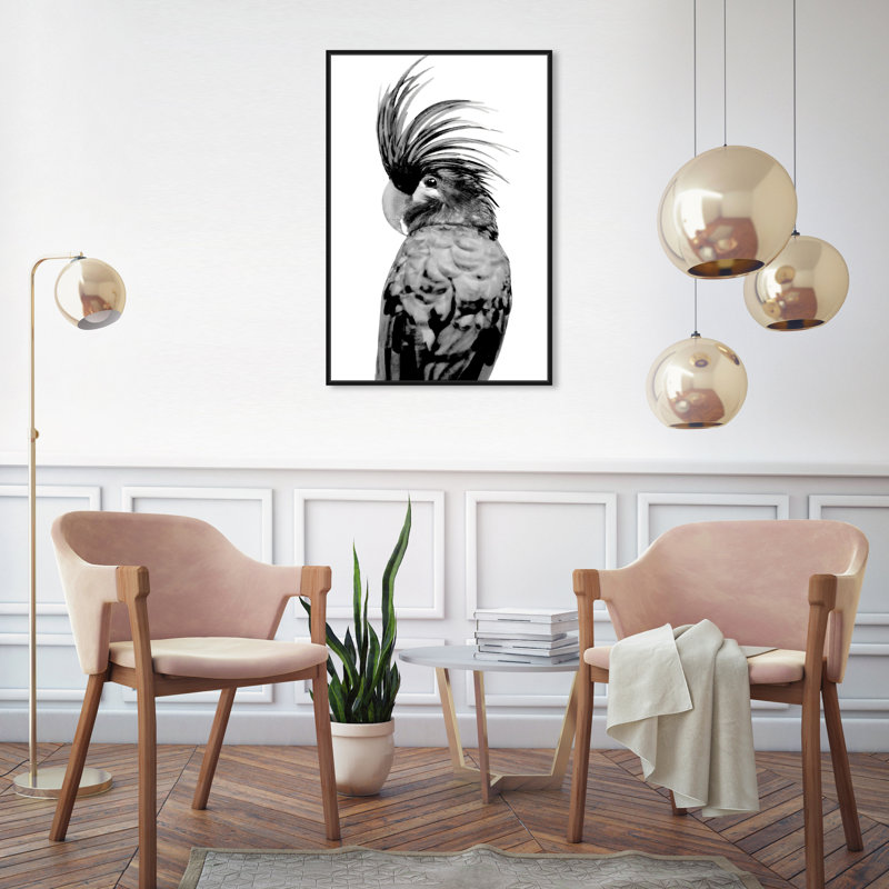 Animaux, cacatoès - Impression sur toile, Toile avec cadre noir, H 30 po x l 20 po