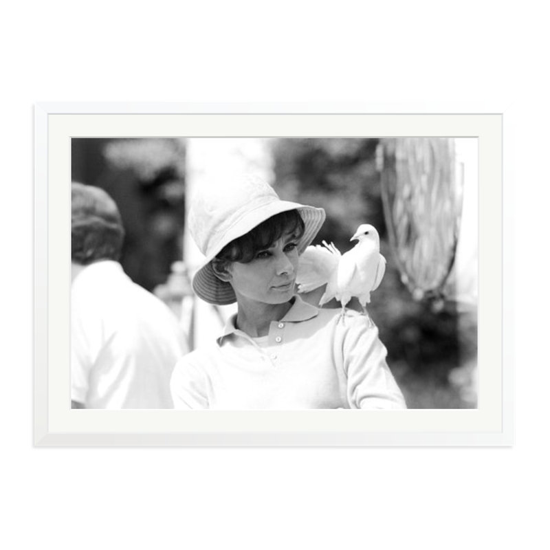 Audrey Hepburn with a Dove, White, 27" H x 38" W