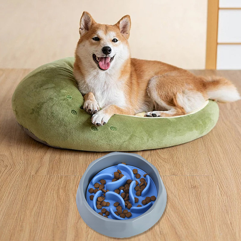 Bol pour chien à alimentation lente avec ventouse à poulpe, Gris te bleu