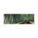 Stepped Walkway Passing Through A Bamboo Forest, Arashiyama, Kyoto Prefecture - Wrapped Canvas Panoramic Print