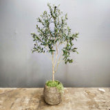 Faux Olive Tree, Artificial Olive tree