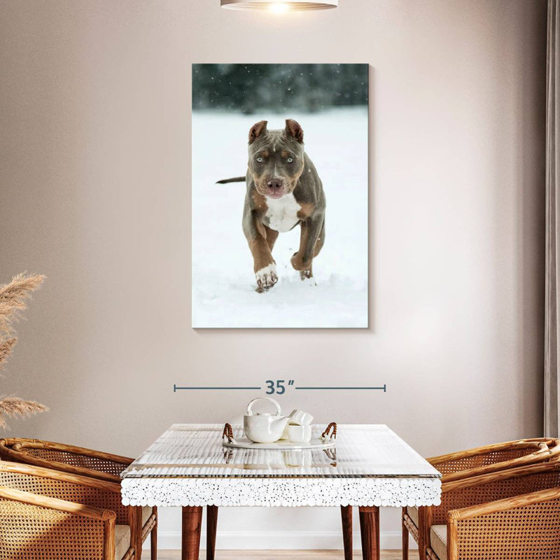 Brampt Pit Bull On Snow, 45" H x 30" W
