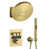 Brushed Gold selected