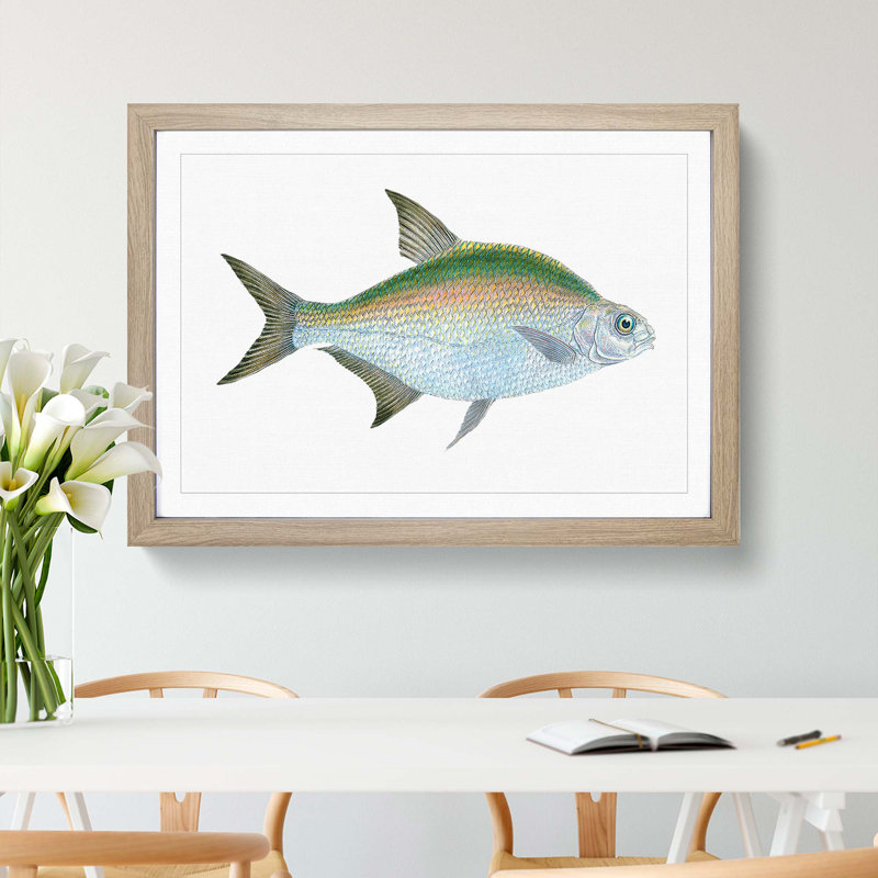 Bream Fish by Edward Donovan - Picture Frame Painting Print, 36cm H x 48cm W x 2cm D, Oak Framed