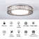 Chic Iron Bird's Nest LED Ceiling Light 5-Class Dimmble