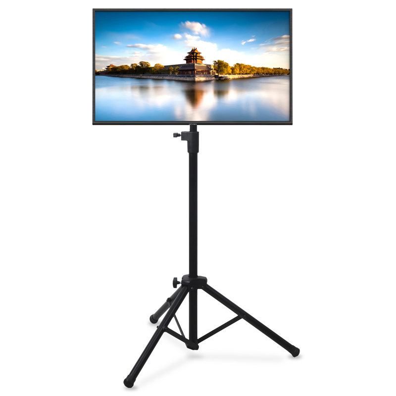 Pyle Single Screen Floor Stand Mount