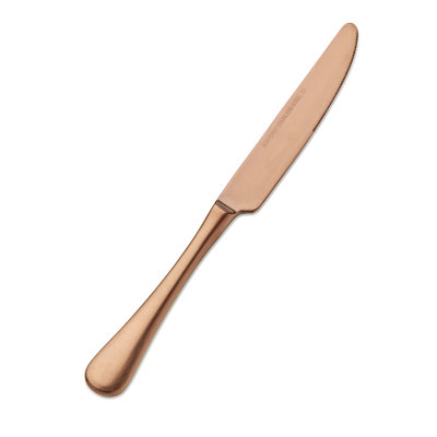 Como Stainless Steel Dinner Knife