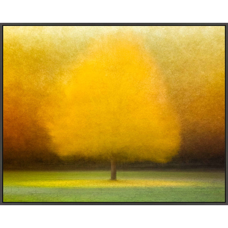 Idyl Wood by Laura Zimmerman - Framed Wall Art, Black Framed Canvas, 30" H x 38" W