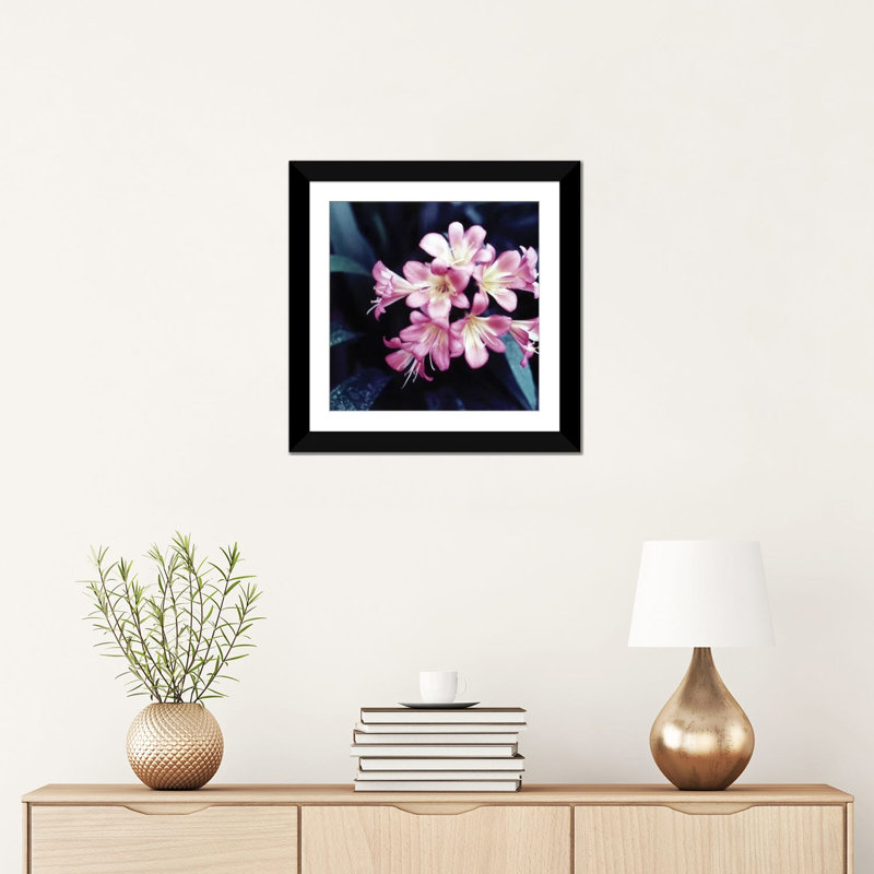 «Pink Blossom II», reproduction de photo sur toile, H 16 po x l 16 po x P 1 po, Papier d'art encadré noir, Blanc