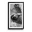 Sloth Swing - Photographie avec cadre photo-2126416620-2126416621