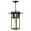 Manhattan 1-Light Outdoor Hanging Lantern