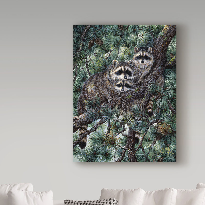 «Racoons» par Fazulla, impression sur toile tendue, H 24 po x l 18 po x P 2 po