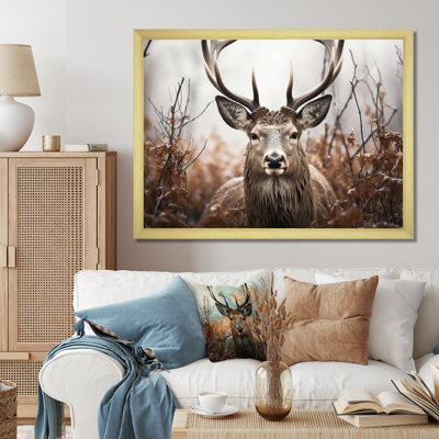 " Deer Monochrome Photography II "