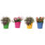Ensemble de pots à fleurs en métal 4 pièces Retiro-91497620-19662569