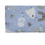 Tapis de jeu Bear Face-108673484
