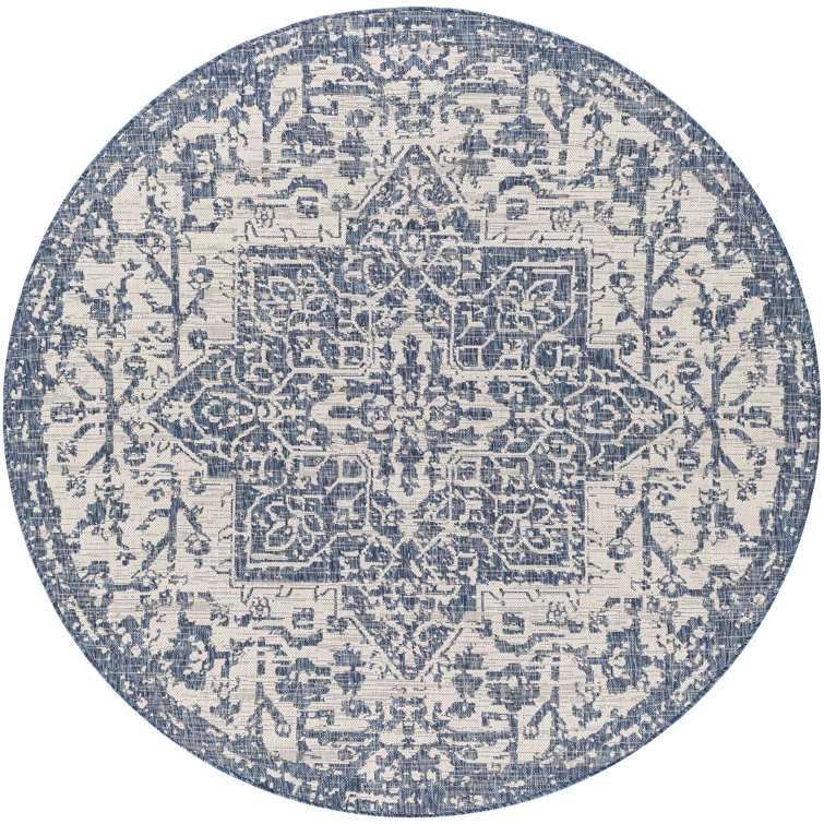 Oriental Indoor Rug