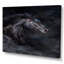 Portrait d'étalon noir I - peinture sur toile-67386689-67386696