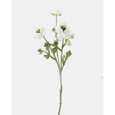 Renoncule blanche 18,5 po