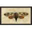 Crackled Moth 5 Painting