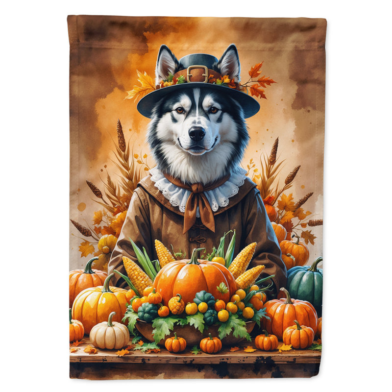 Drapeau de l'Action de grâce, Husky sibérien