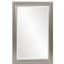 Buschwick Solid Wood Mirror-162463238