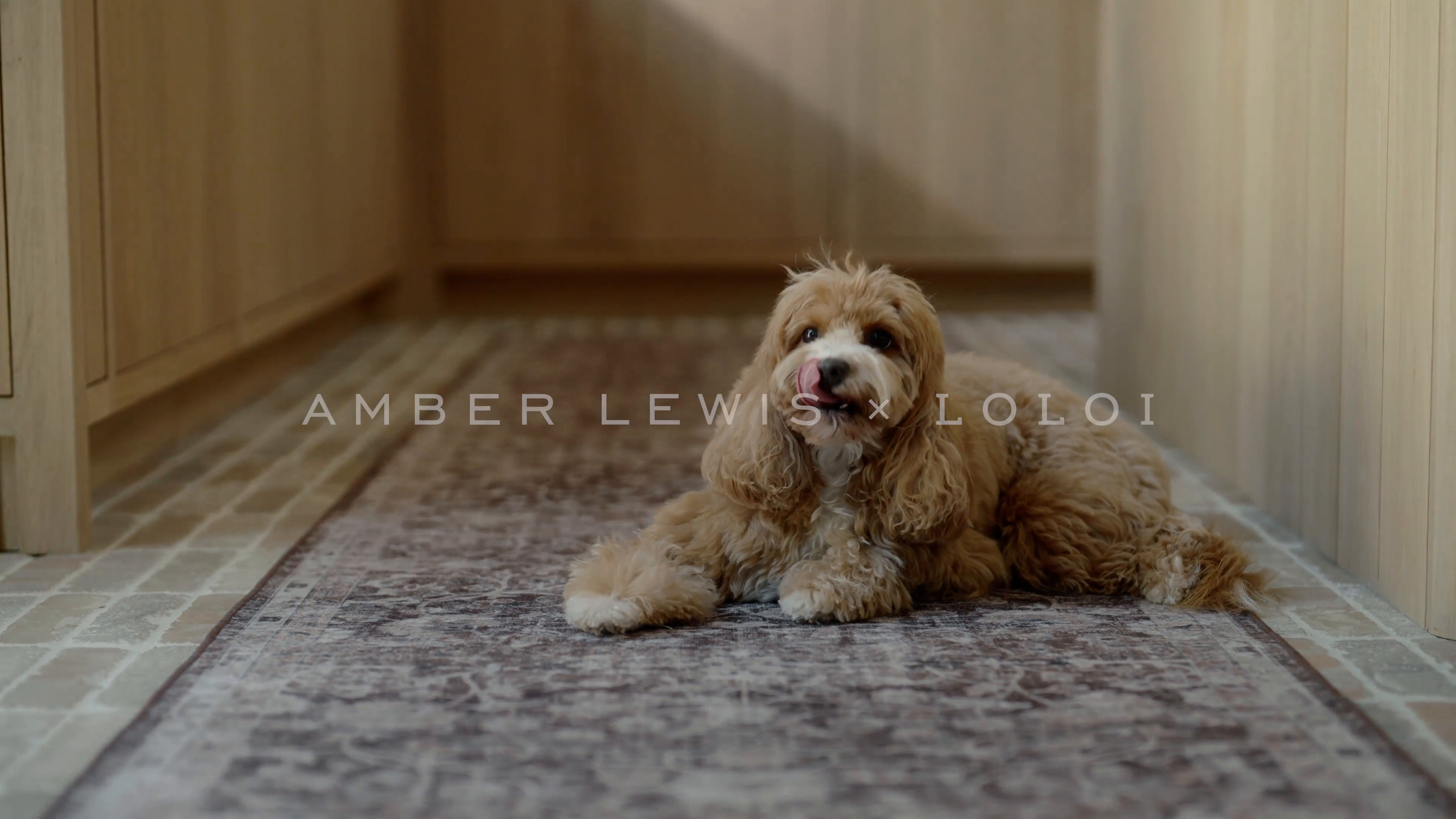 Amber Lewis x Loloi Machine Washable Josie Earth / Natural Area