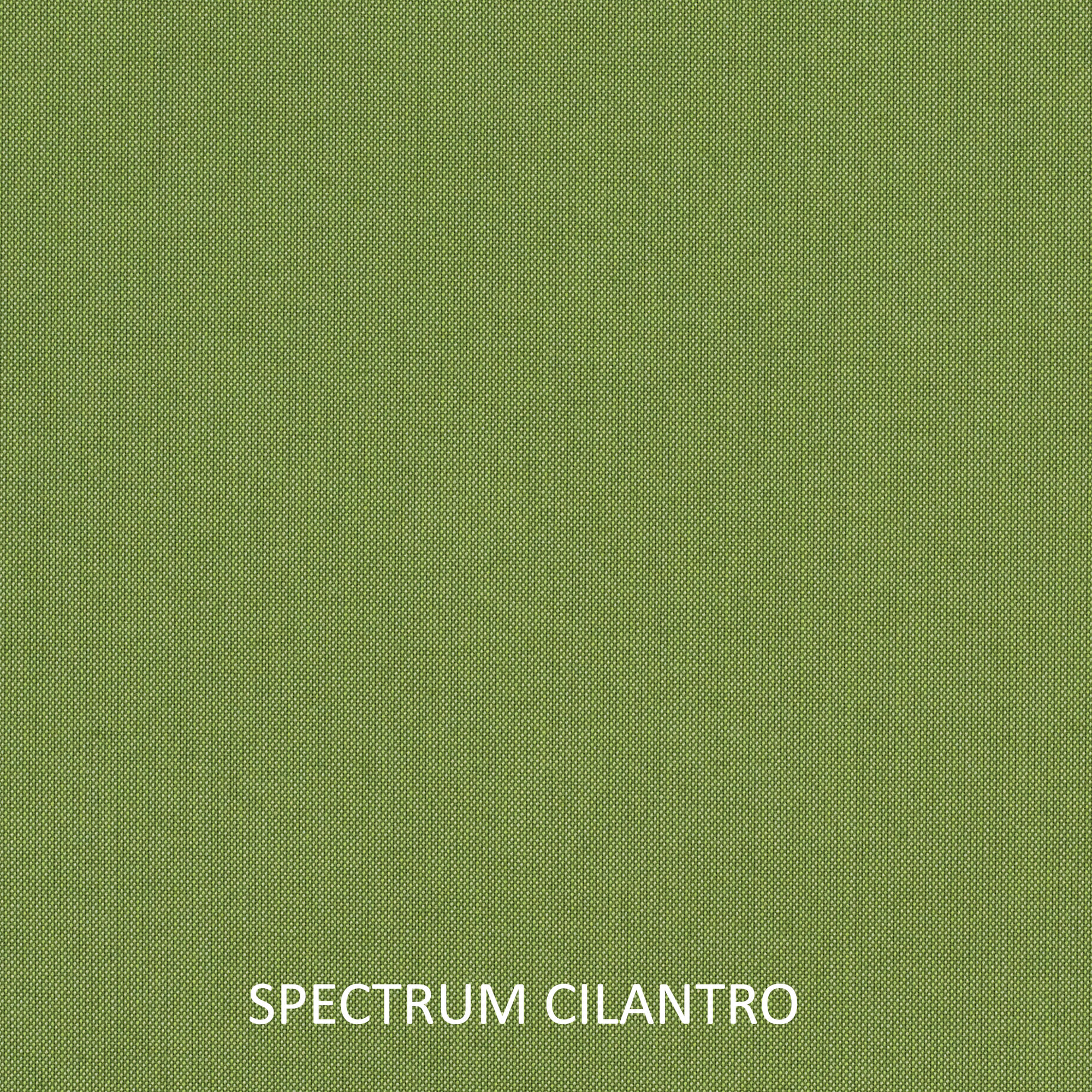 Sunbrella Outdoor Dining Chair Cushion, Spectrum Cilantro Sunbrella® Plainweave