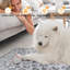 Couverture en fausse fourrure pour animaux-97634177