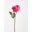 Fiori Peony Arrangement