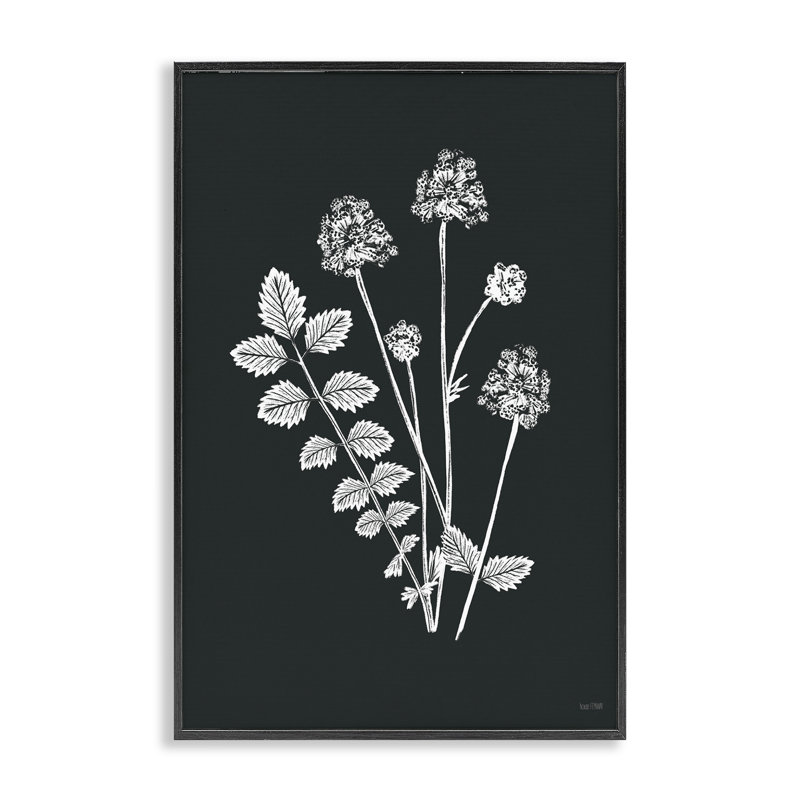 «Herb Bunches Impression Art» par House Fenway bg-174, H 18 po x l 12 po, Giclée encadrée noir minuit