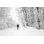 Winter Wonder Land - Photographie sur toile tendue