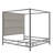Moyers Upholstered Metal Canopy Bed-643465804-643465813