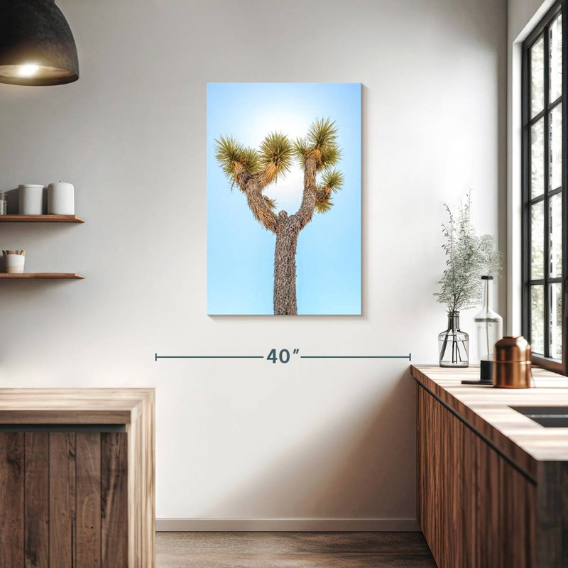 Arbre Harnek Joshua, H 36 po x l 24 po