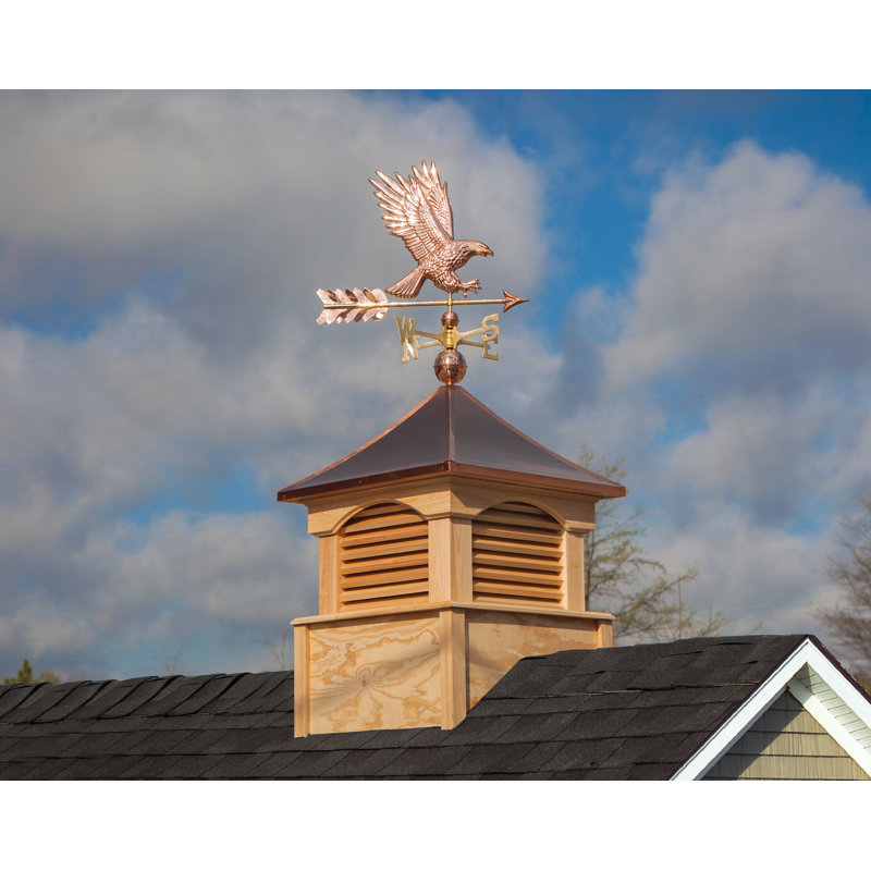 Girouette american chauve eagle