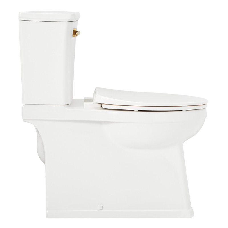 Benbrook 1.28 GPF Two Piece Skirted Elongated Toilet, White/Brushed Gold