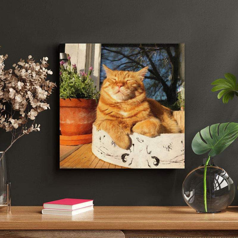 «Orange Tabby» sur un chat blanc et noir, impression sur tasse en céramique - 1 pièce, impression carrée sur toile tendue