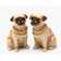Cosmos Gifts Pug 2 Piece Salt and Pepper Set