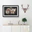 Tiger - Picture Frame Graphic Art Print-56863955-56863951
