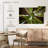 Alvord Dizzying Sequoia Trees-107847900