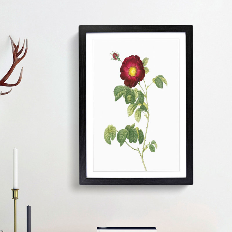 French Rose in Deep Pink by Pierre-Joseph Redoute - Picture Frame Painting Print, 65cm H x 48cm W x 2cm D, Black Framed