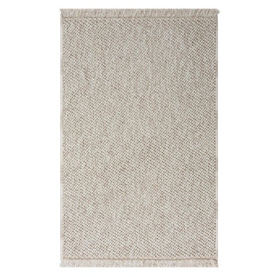 Textured Fringed Area Rug