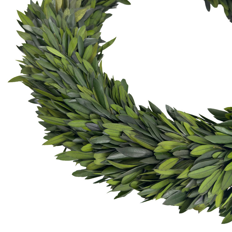 Arcadia 20" Real Preserved Olive Leaf Wreath