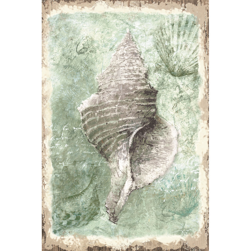 Sea Foam Shell - Wrapped Canvas Painting, 46cm H x 30cm W x 3.8cm D