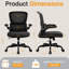 Dickens Ergonomic Mesh Task Chair-710479068