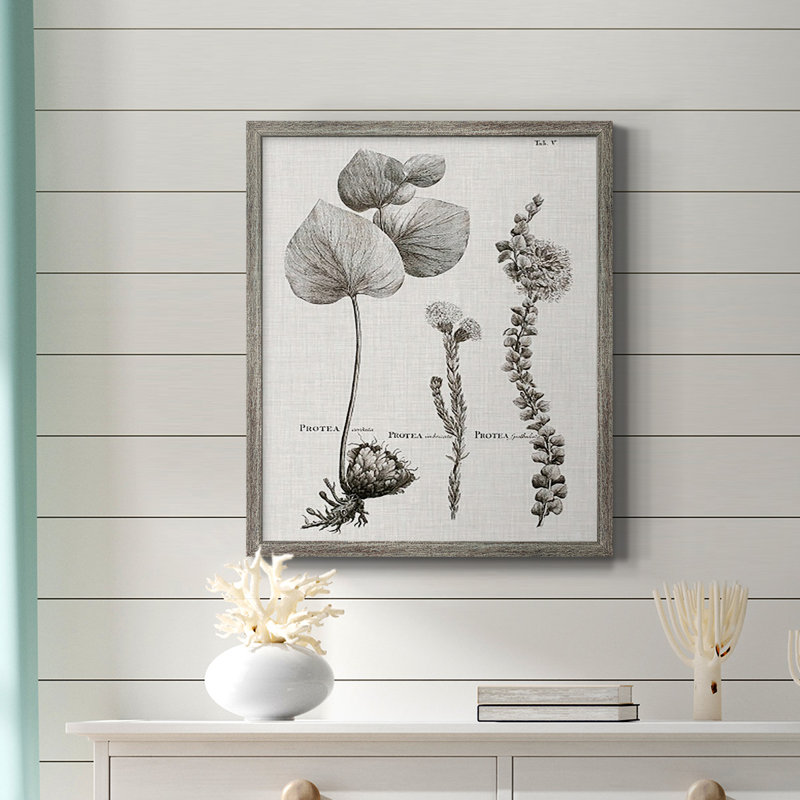 Toile encadrée noire et blanche Protea on Linen II de qualité supérieure - prête à être accrochée, Argent patiné
