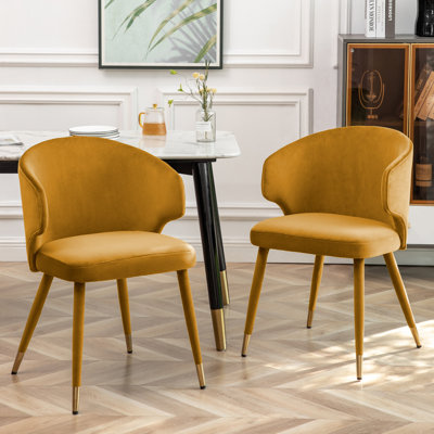 Agness Velvet Upholstered Dining Chairs with Gold Trim