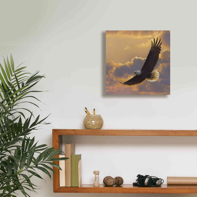 «Soaring Spirit» par Collin Bogle, art mural sur toile, H 12 po x l 12 po x P 0,75 po