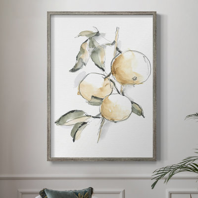 Watercolor Fruit Contour II  Framed Print - Solid Wood